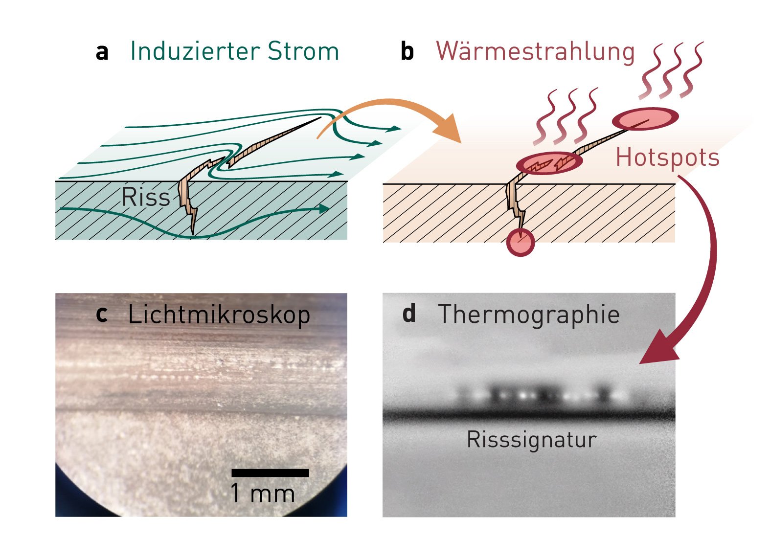 thermo_Wirkprinzip_Bildgebung